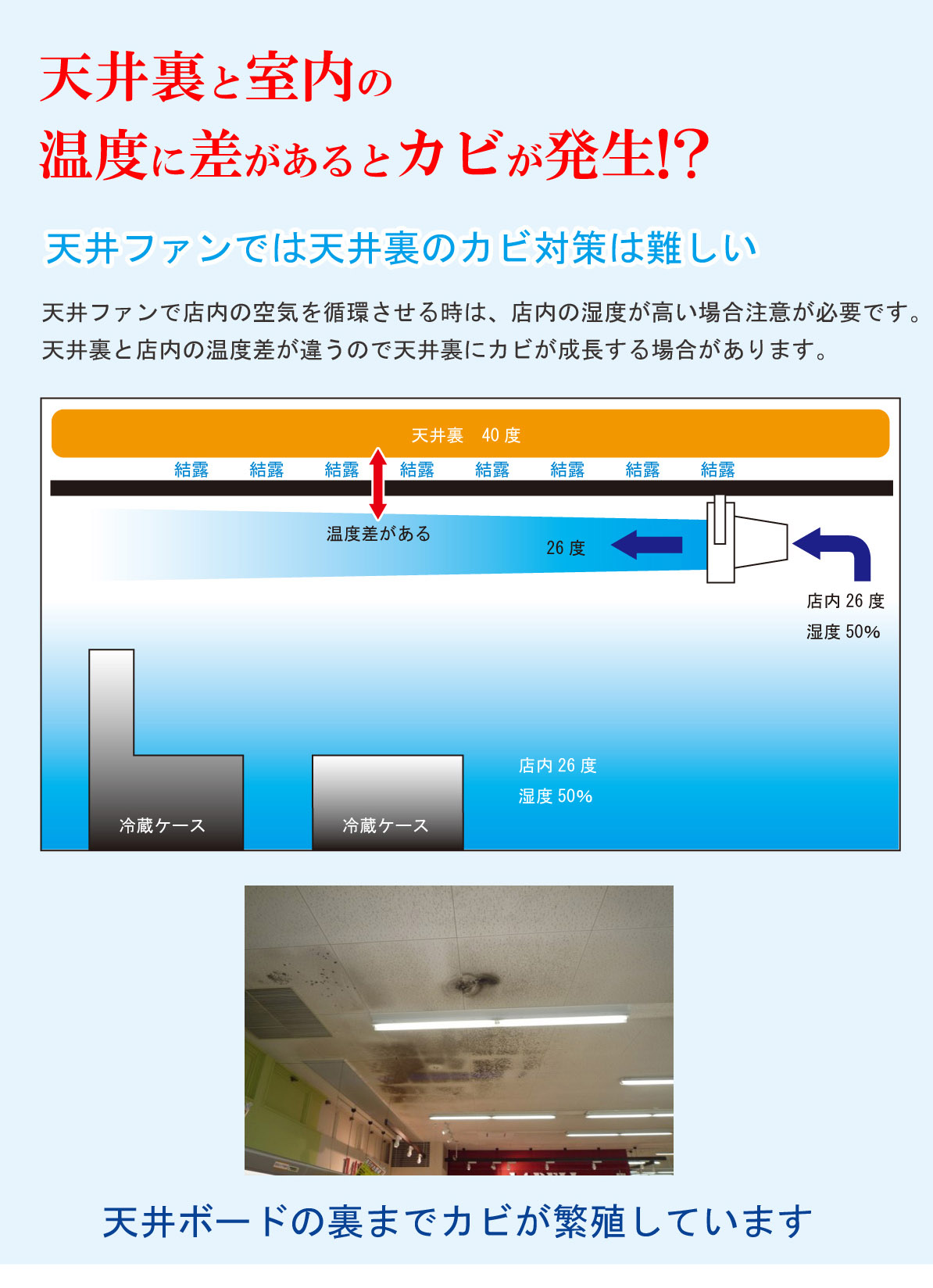 スーパーの天井のカビ！その悩みアースクリーン東北が解決します！